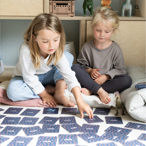 Dinosaur Memory Matching + SNAP Game for Kids - Jumbo Educational Cards