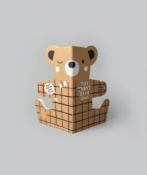 The Teddy Bear Book
